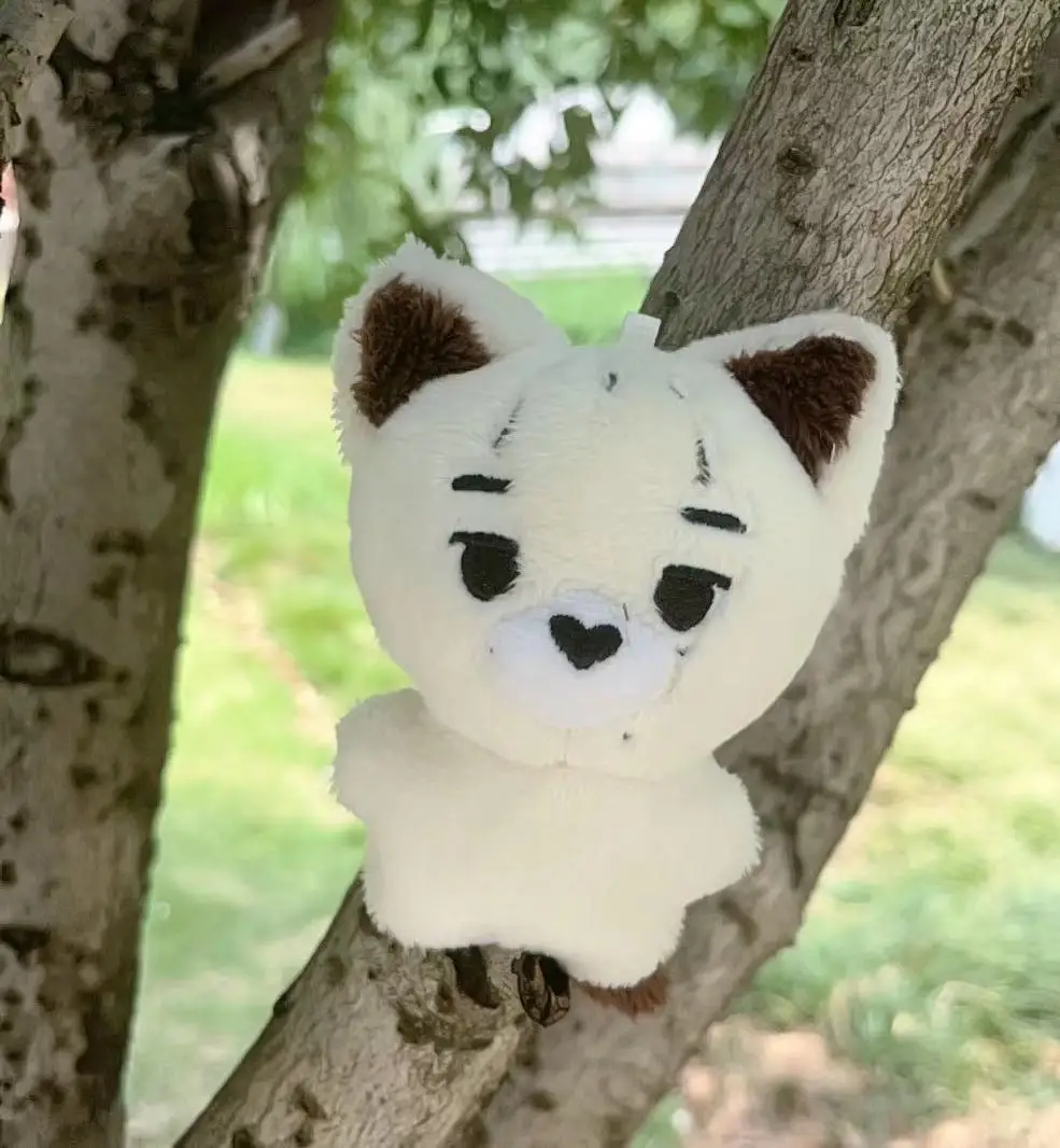 Kpop Plush JUNGWON HEESEUNG JAY JAKE SUNGHOON Stuffed Toys Keyring