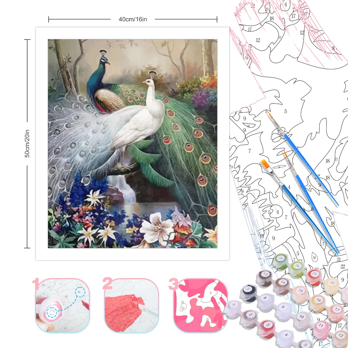 Peacock Canvas Painting Paint Number | Pictures Paints