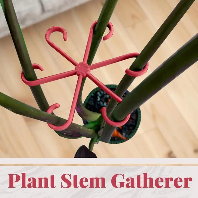 4pcs Climbing Houseplant Stem Supports, Plastic Plant Climbers Stem Holders Reusable Flower Plant Stakes Trellis Stem Hook Growt 4