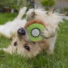 Dog chewToys 3