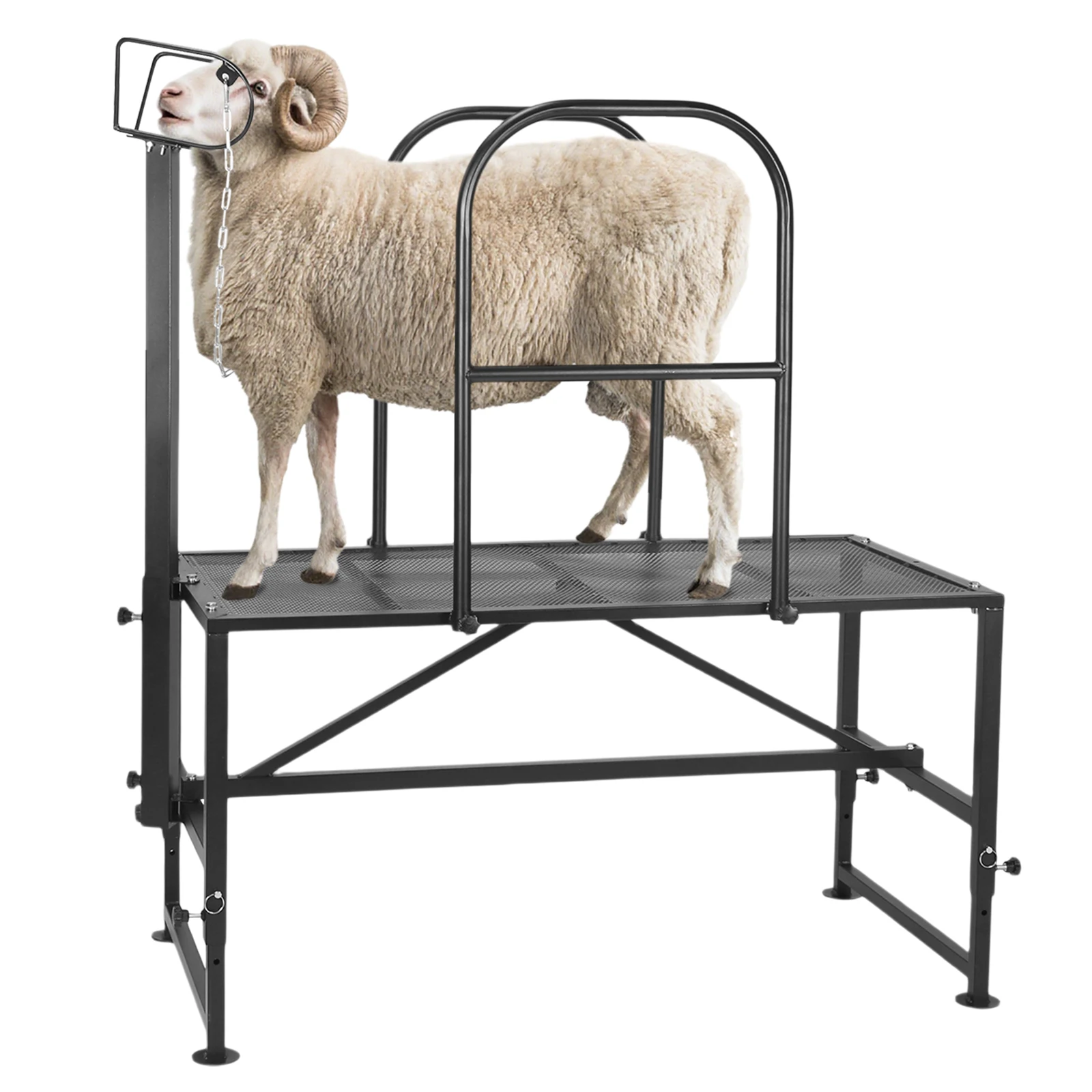 Sheep Stand Adjustable Height 20.5in To 31.5in Metal Livestock Trimming Stand with Headpiece and Nose Loop for Goats and Lambs