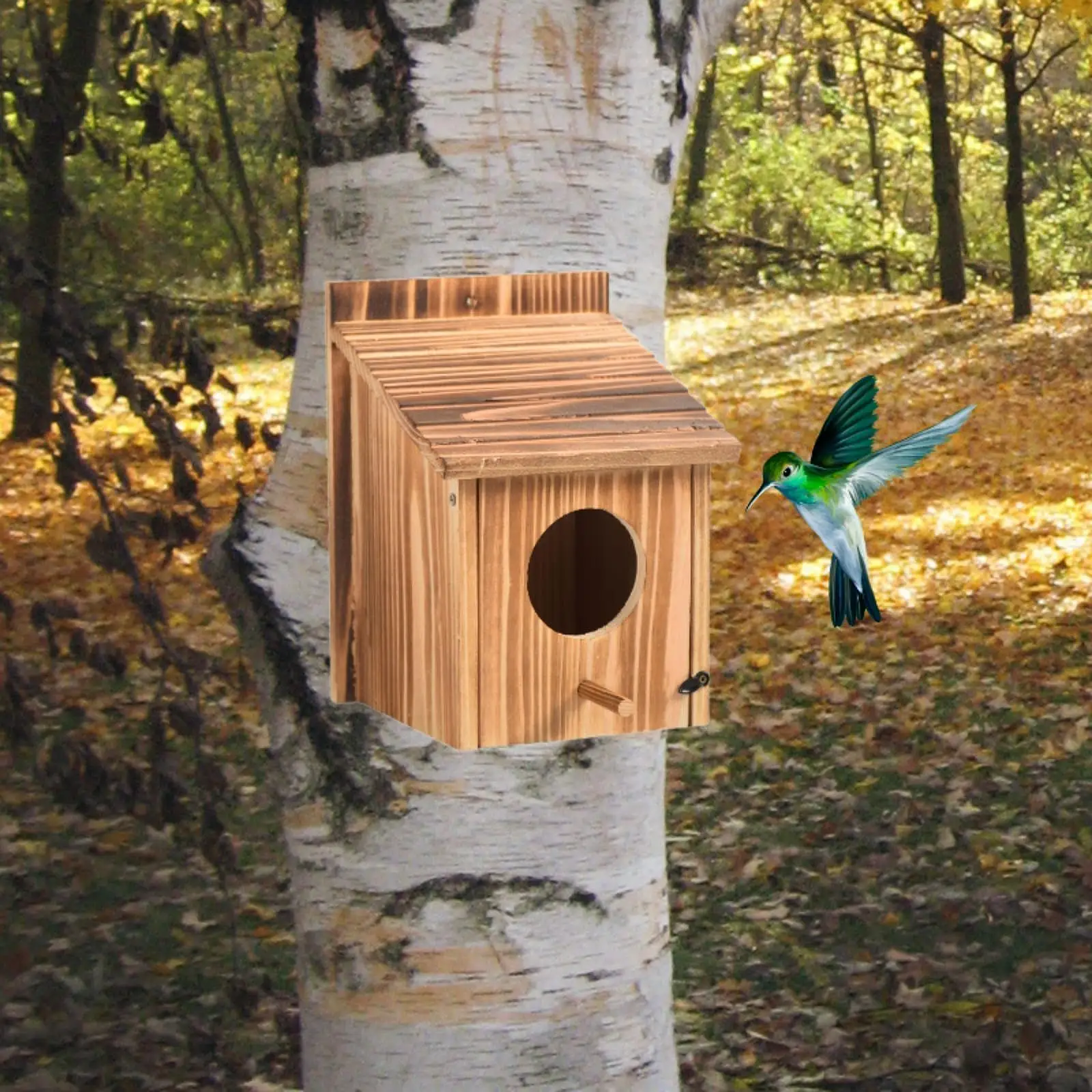 Outdoor Bird House Bluebird House Hanging Birdhouse for Window Balcony Patio