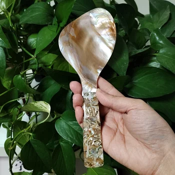 Mother of Pearl Rice Spoon 1