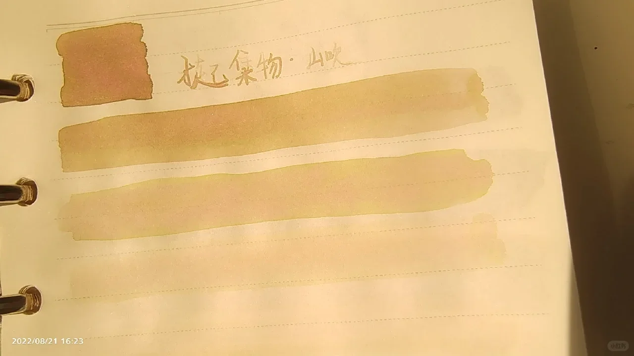 컬렉션 트레이스드, 일본 장미(샨추이), 크로모쉐이딩 잉크, 쉰 잉크, 19ml