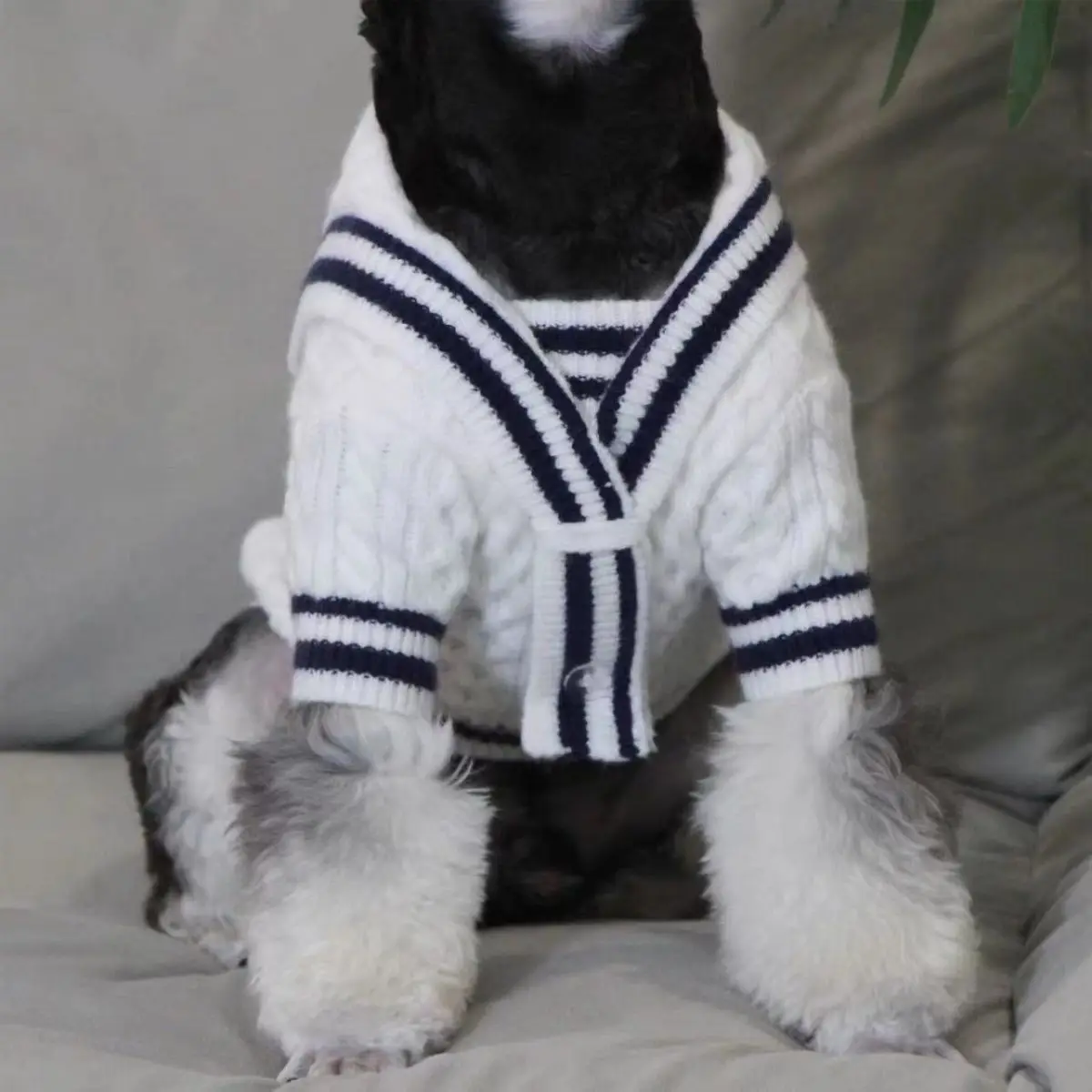 강아지 고양이 스웨터 겨울 개 작은 중형 개를위한 옷 치와와 테디 닥스 훈트 코트 프렌치 불독 Yorkie 푸들 스웨터
