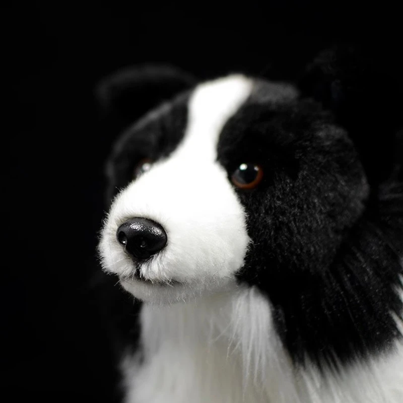 Sd822a3a636c24297912cd75cefff5e31v - Border Collie Gifts