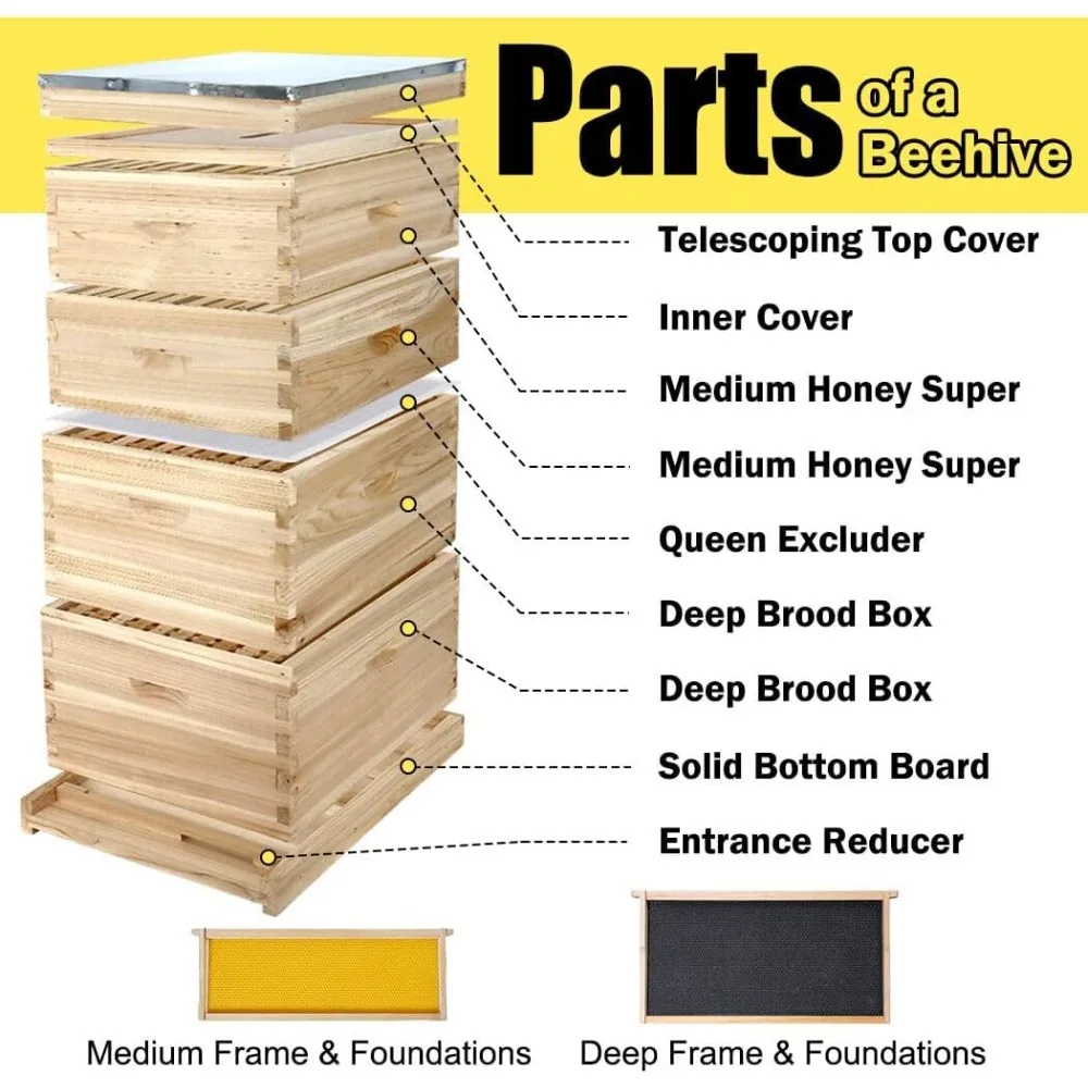 10-Frame Complete Bee Hives and Supplies Starter Kit, Beehives for Beginners with Beehive Frames and Waxed Foundations