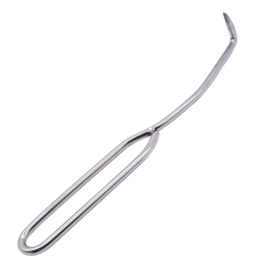 Durable Beekeeping Needle Queen Rearing Grafting Tool Stainless Steel Double Head Grafting Tool Bee Hive Scraper Beekeeper