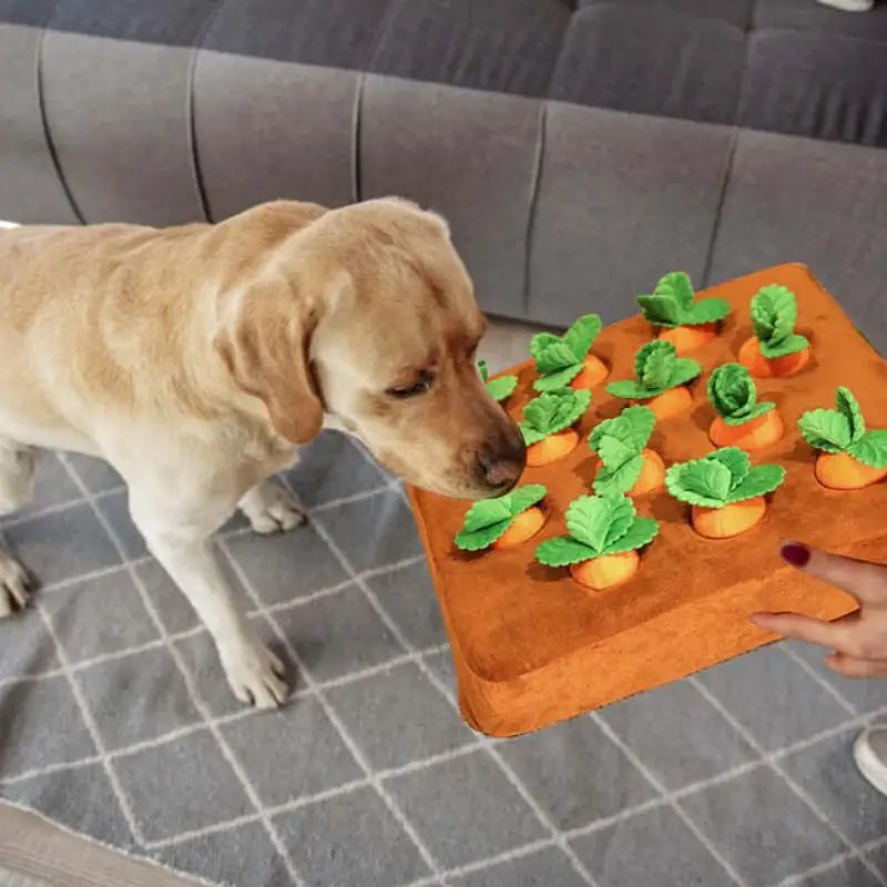 Carrot Farm Dog Toy Dog Chew Toys Squeaky Carrots Enrichment Dog Puzzle Toys