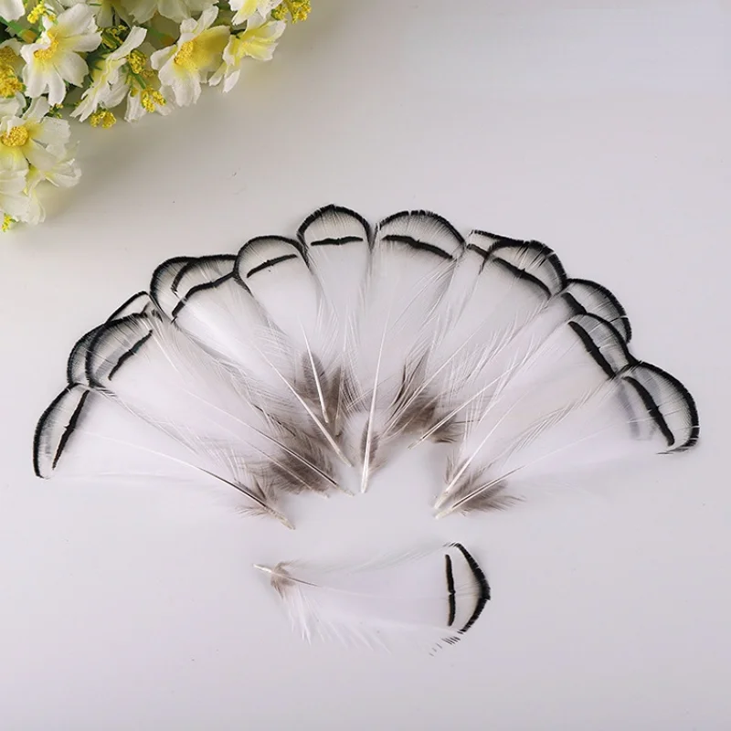 자연 야생 닭 깃털, 5-8cm, DIY 닭 깃털 마스크, 웨딩 장식, 드림 캐처 깃털, 도매, 50 개