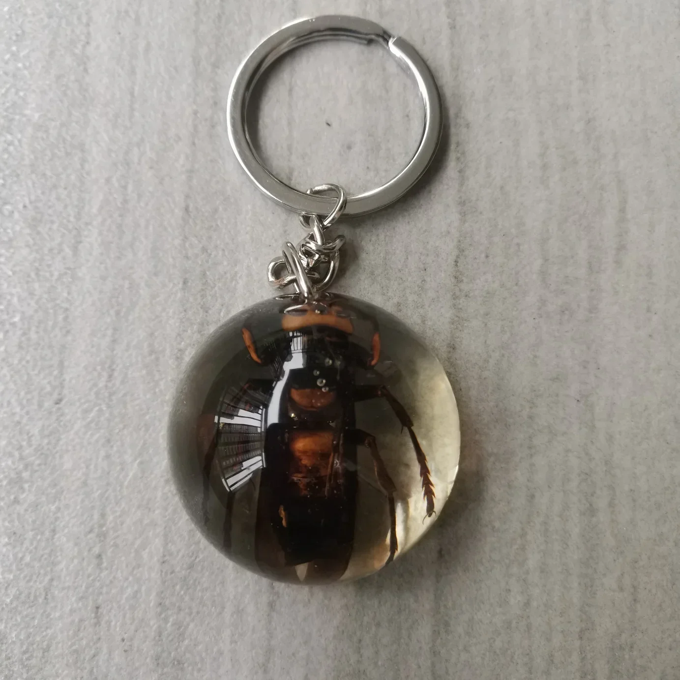 Insect Resin Keychain Specimen Crab Spider Scorpion Golden Turtle Wasp Spade Beetle Red Bean Ant Key Chain Decoration 6