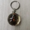 Insect Resin Keychain Specimen Crab Spider Scorpion Golden Turtle Wasp Spade Beetle Red Bean Ant Key Chain Decoration 6