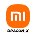 Dragon-X Store