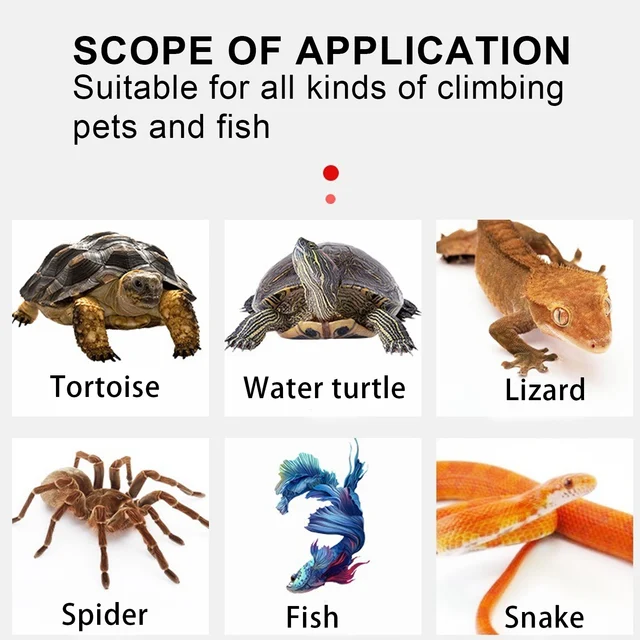 Reptile Accessory USB Heating Pad for Reptile Reptile USB Heating Pad Fiber Cloth for Reptiles Snakes Lizard Hermit Crab Turtle 5