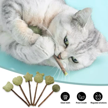 Cute-Shape-Fresh-Cat-Catnip-Toys-Cat-Mint-Natural-Safety-Edible-Cute-Shape-Pet-Mint-Lollipop.jpg