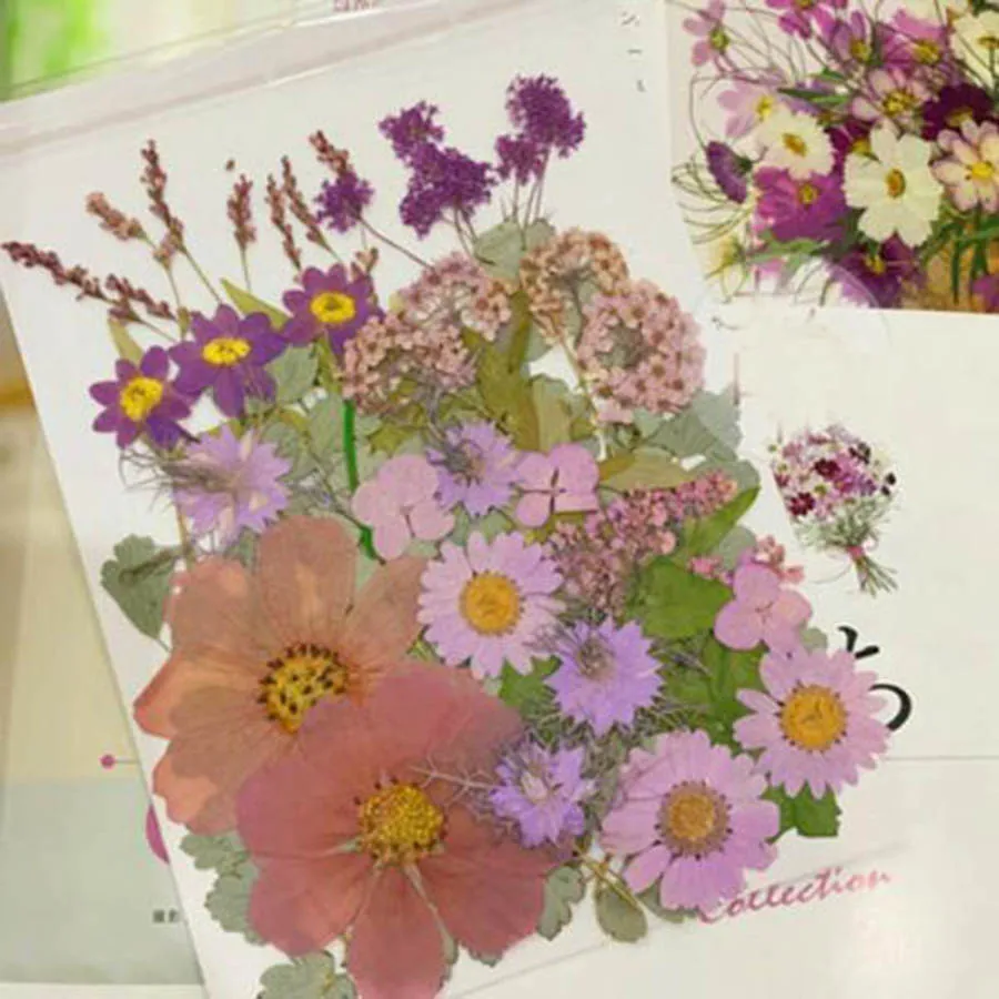 Description Picture 4 of item50pcs Mixed Dried Pressed Flowers Plant Herbarium For Jewelry Postcard Invitation Card Phone Case Art&Craft Making 7 Colors Pick
