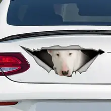 

White Bull Terrier car decal , Bull Terrier magnet, bull terrier sticker