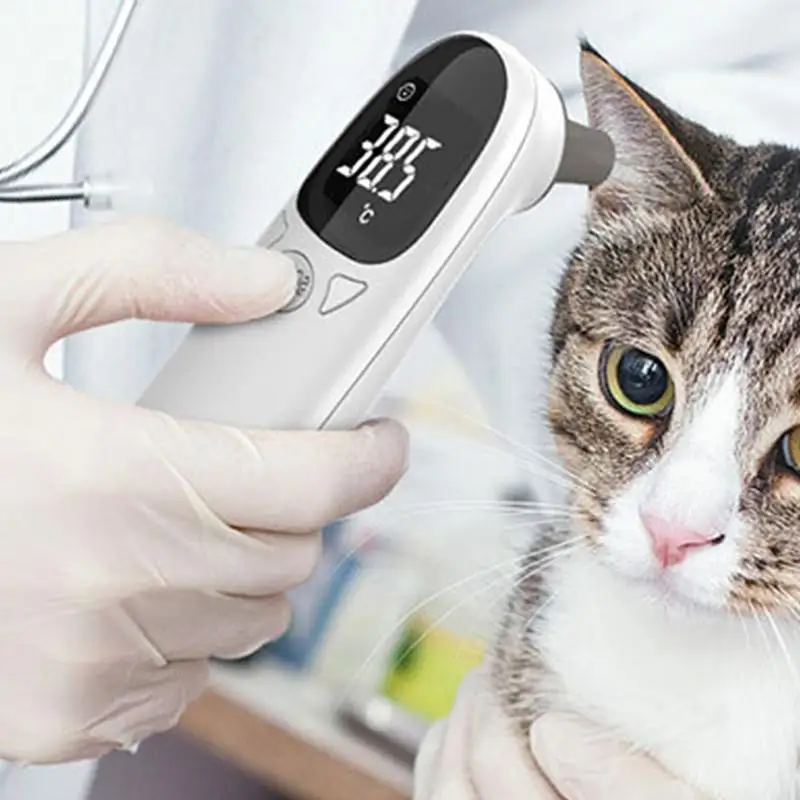 Animal Thermometer Pet Thermometers For Dogs Pet Supplies For Dog Accurate Fever Detection Device Supplies Veterinary Thermometers