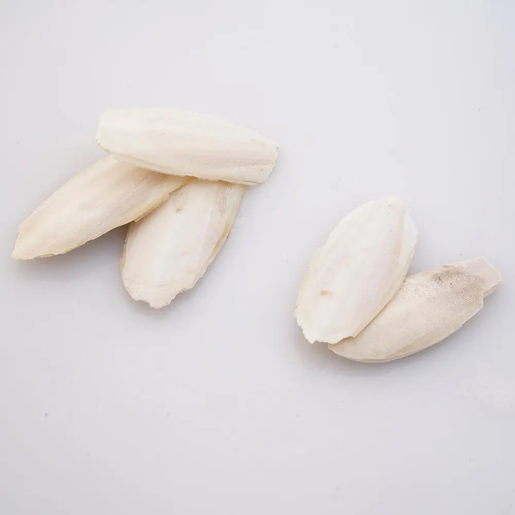 Parrot toy bird toy Cuttlefish bone For parrot Natural cuddle bone chew toys Chewing cuttlebone Easy to absorb Exercise pet's sensitivity 10Pcs