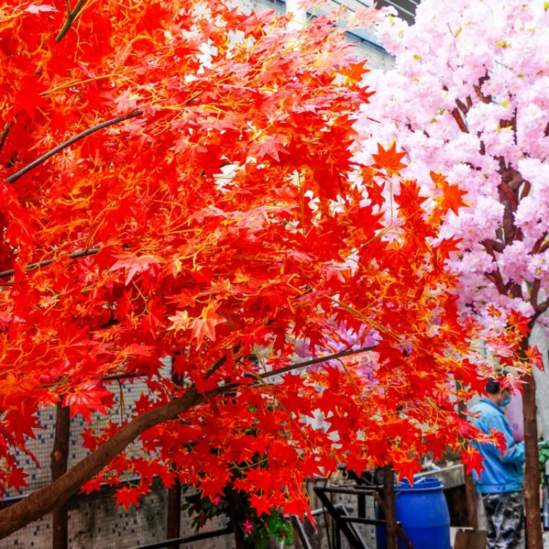 Рисунок 4 - На заказ. songtao