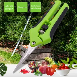 Tesouras de jardim podador secateurs & tesouras de poda fresco flor afiada jardinagem ferramentas manuais florista corte planta aparar i