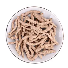 

Polygala tenuifolia Willd,Polygalae Radix,Yuanzhi