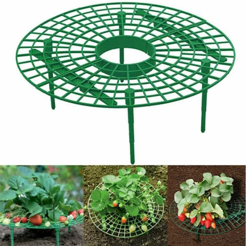 

Strawberry Supports Keeping Plant Fruit Stand Vegetable Growing Rack Garden Tools for Protecting Vines Avoid Ground