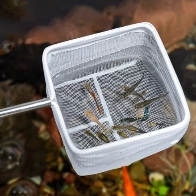 Aquarium Cleaning Tools Aquarium Fish Nets Small Fish and Shrimp Nets Fish Tank Fishing Nets 2