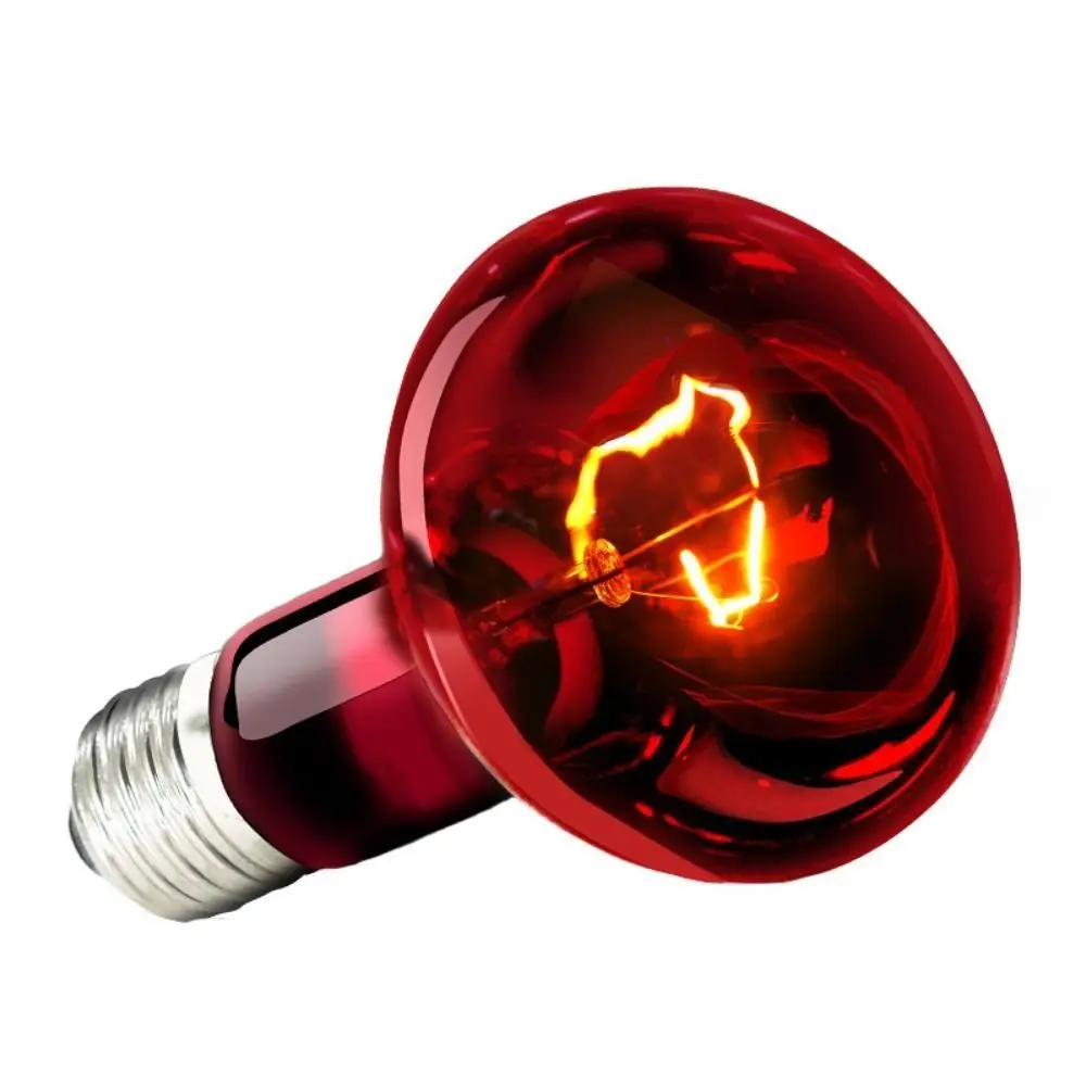 Infrared Led Pet Heating Lamp Durable UVA Adjustable Reptile Heat Bulb 4 Kinds 25W/50W/75W/100W UVA Day Night Bulb Reptiles