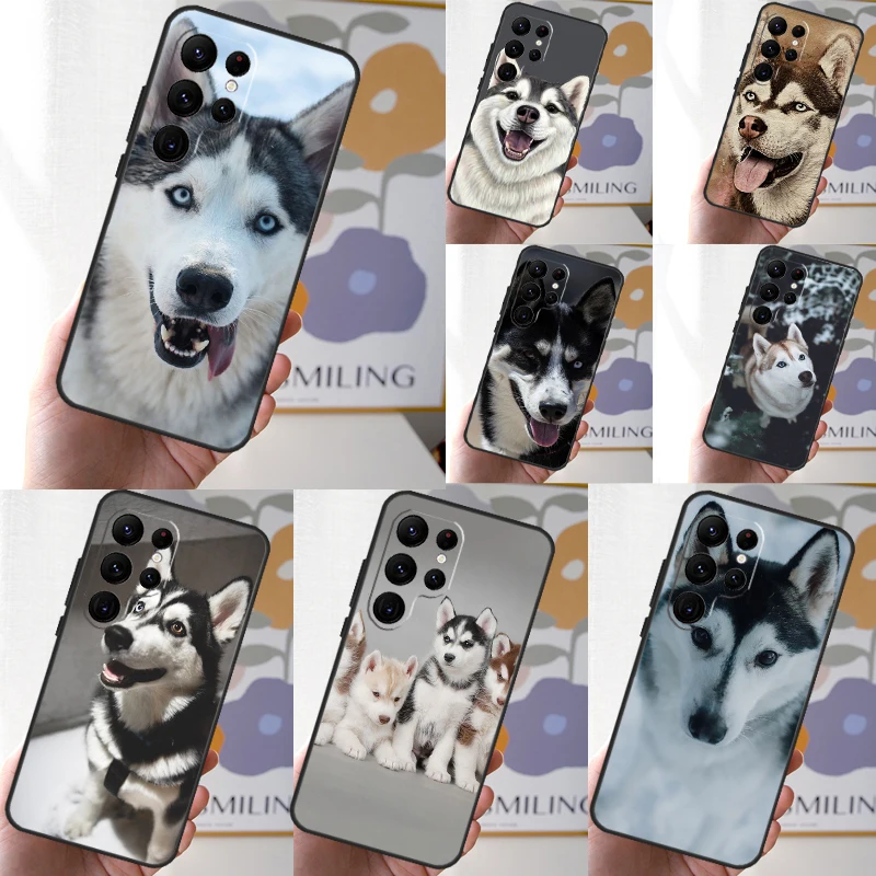 Чехол для Samsung Galaxy S24 S23 S22 S21 Ultra Note 20 S20 FE S8 S9 S10 Note 10 Plus Чехол для Samsung Galaxy S24 S23 S22 S21 Ultra Note 20 S20 FE S8 S9 S10 Note 10 Plus