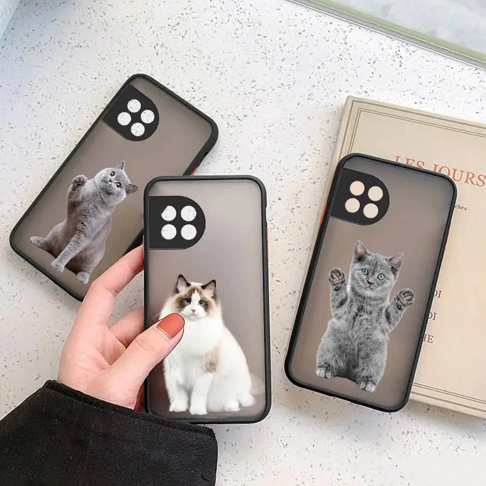 

White Grey Cat Ragdoll Animal Phone Case For Oneplus 10 9 8 8T 7 7T Pro 6 6T 5 5T Nord N100 N10 CE 2 Silicone Clear Matte Cover