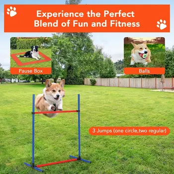 87 Pcs Dog Agile Training Equipment Set Obstacle Course Kit with 70