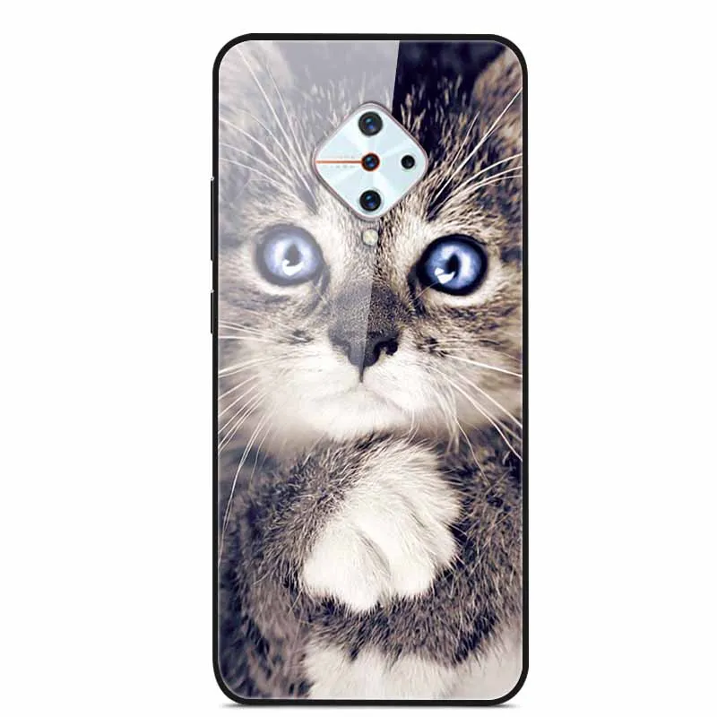 Premium Tempered Glass Back Case with Soft Bumper