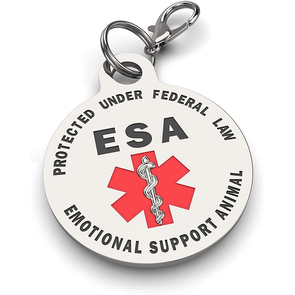 Personalized Stainless Steel Dog Tag – Double-Sided Anti-Lost Pet Collar Accessory