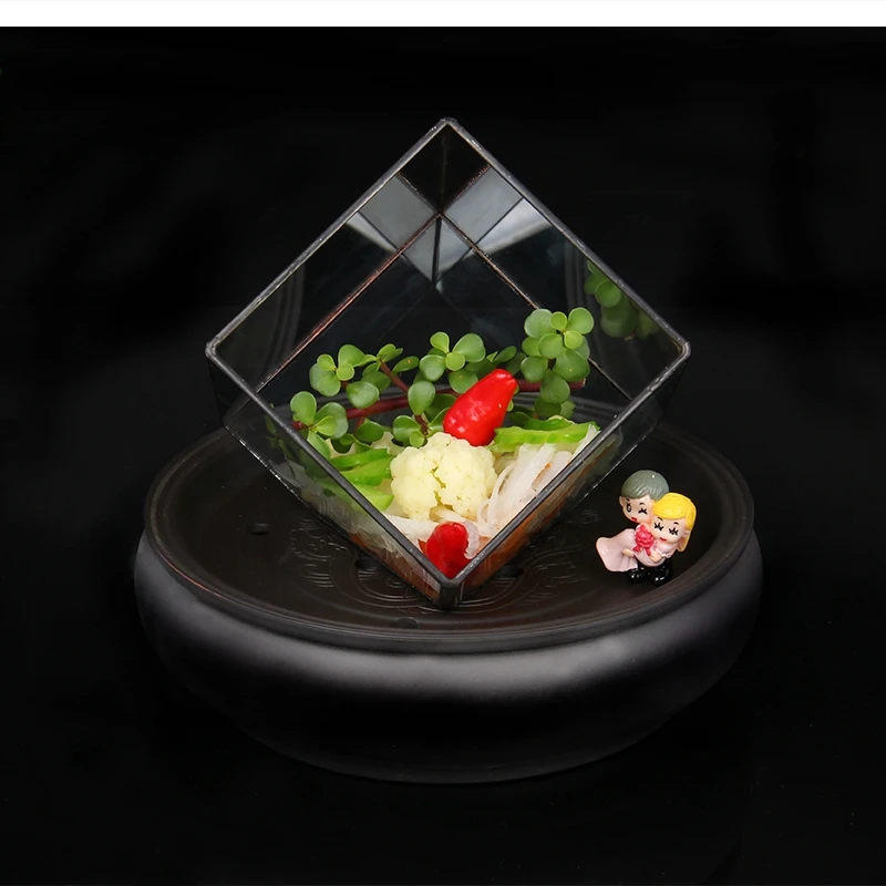 Japanese molecular cuisine artistic conception dishes square glass plates dry ice platters and trays