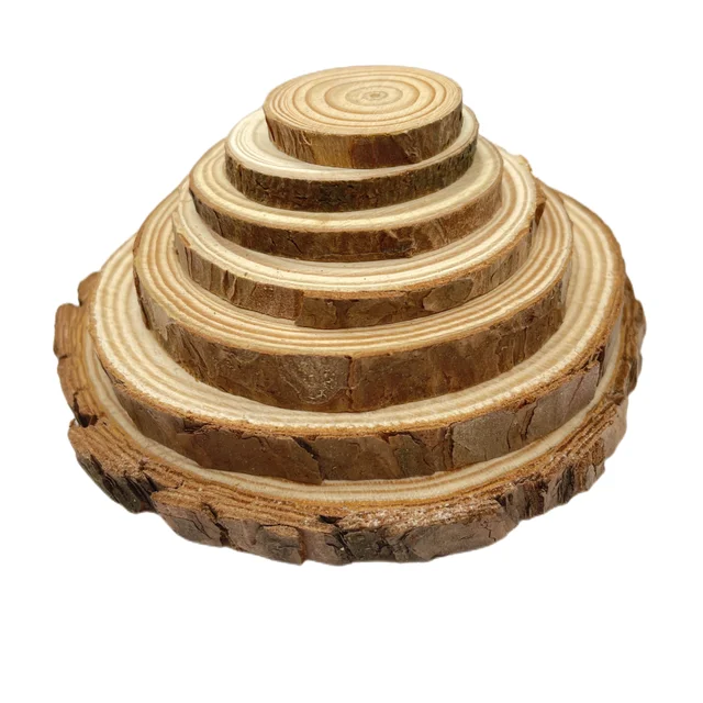Natural Pine Wood Slices 3