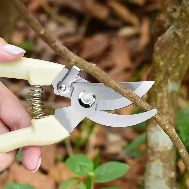 Pruner Orchard And The Garden Hand Tools Bonsai For Scissors Gardening