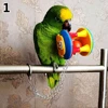 Cute Pet Bird Plastic Chew Ball Chain Cage Toy for Parrot Cockatiel Parakeet Parrot Chew Cage Fun Toys Pet Bird Supplies 5
