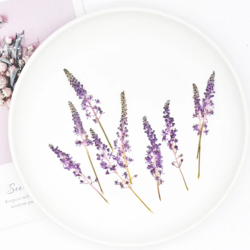 

60pcs/7-10cm,Natural Pressed flowers with stem,Eternal real flowers DIY Wedding invitations Craft Photo Bookmark Gift Card decor