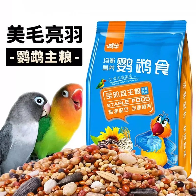 Smart Parrot Food Natural Food for Parrots Good fir Feather Premium Blend of Seeds