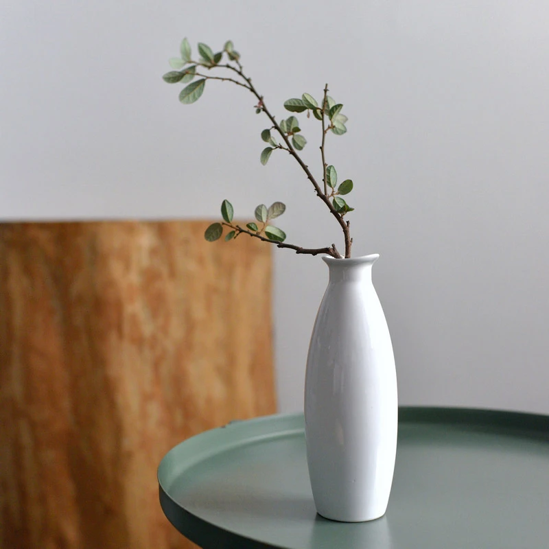 水耕栽培用セラミック花瓶 小さな花瓶 テーブルトップフラワー シンプルな家の装飾 花瓶 Aliexpress