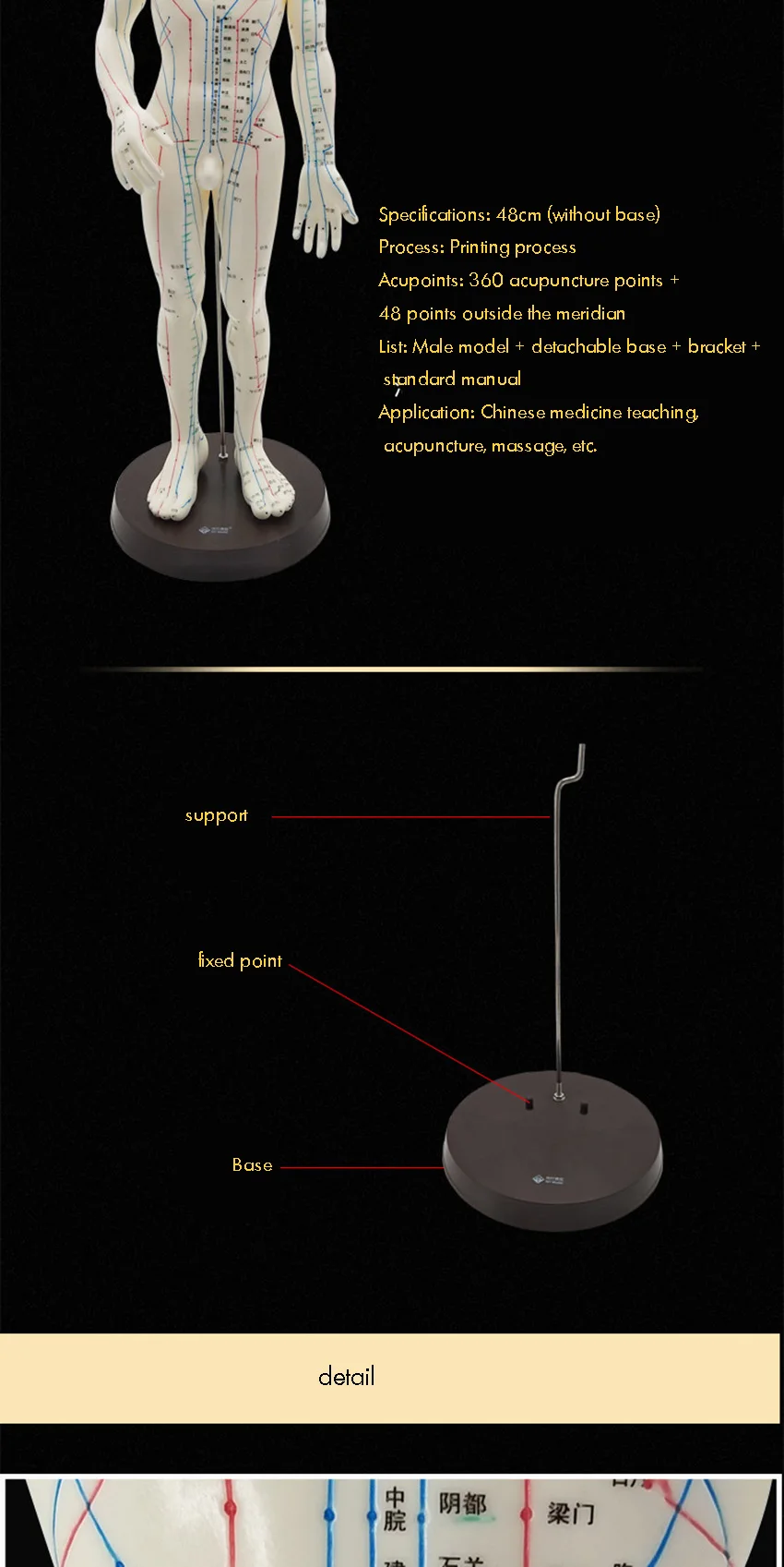 Description Picture 6 of itemMedical Chinese Medicine Meridians Acupuncture Moxibustion 52cm Model Point Mannequin Acupuncture Model Gold White Faster Ships