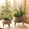 Wabi-sabi Japanese Style Nordic Wooden Fruit Tray Snack High-footed Plate Handcraft Kitchen Tool Display Plate Decor Flower Pot 5