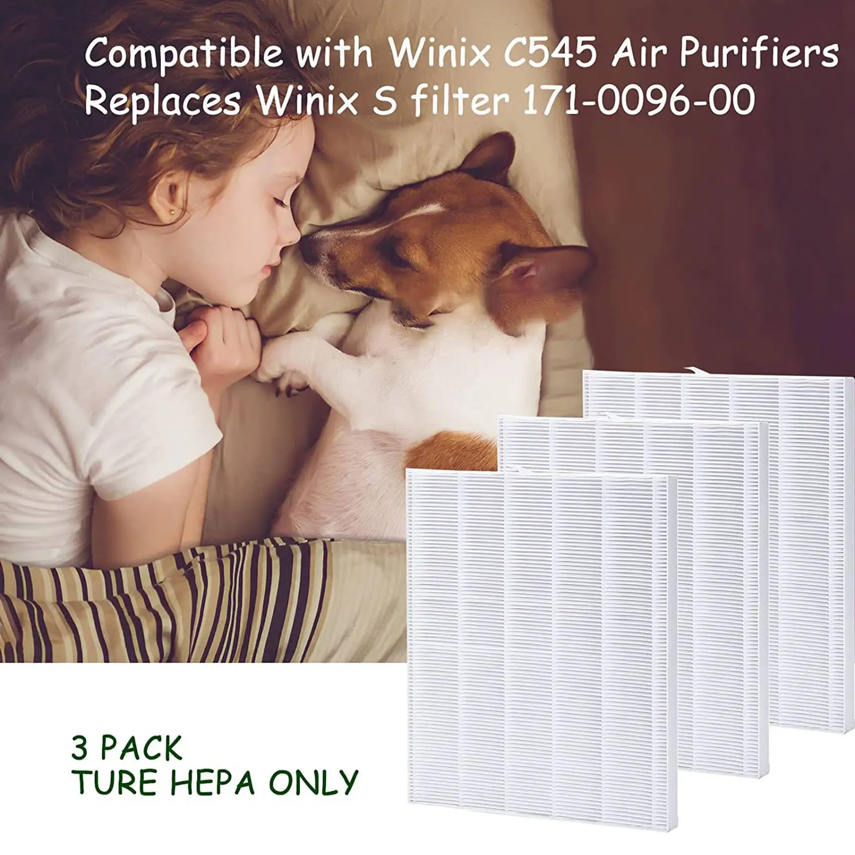 HEPA Replacement Filter S for C545 Air Purifier, Replaces S Filter 1712-0096-00, HEPA Filtrer Only