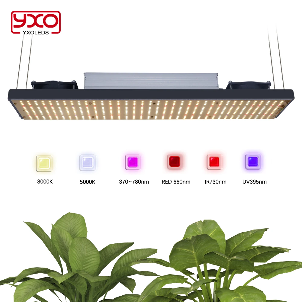 320W Full Spectrum Led Grow Light Samsung Led Chip Dimmerabile Quantum Phyto Lamp Per Veg Flower Plants Indoor Plants Growth Light