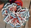 Hand Thrown Fishing Cast Net 5