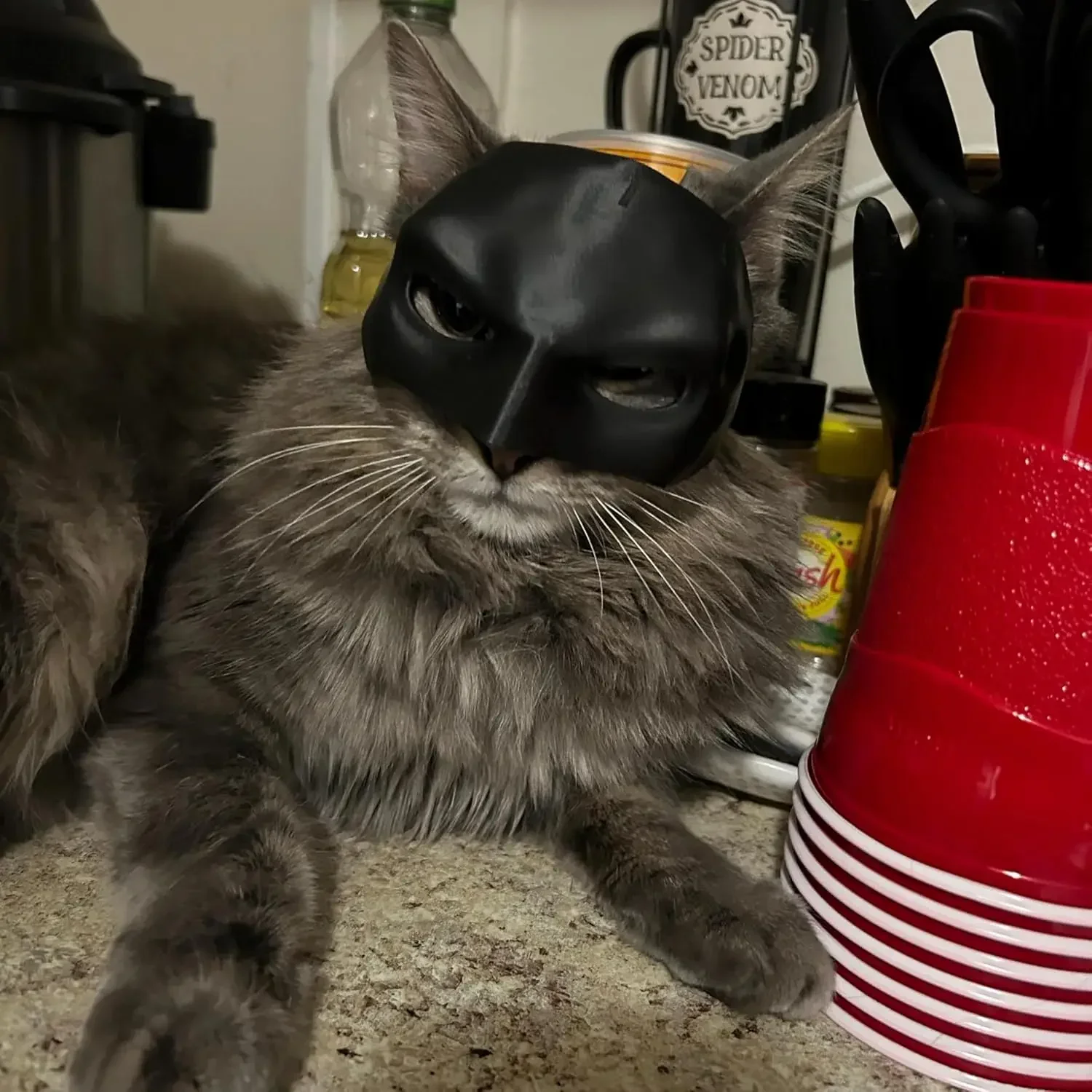 Cat Bat Cool Man Mask Cat Avenger Mask Matte Cute Bat Superhero Toys Halloween Costume Cats Pet Supplies pet mask pet halloween costume cat bat mask