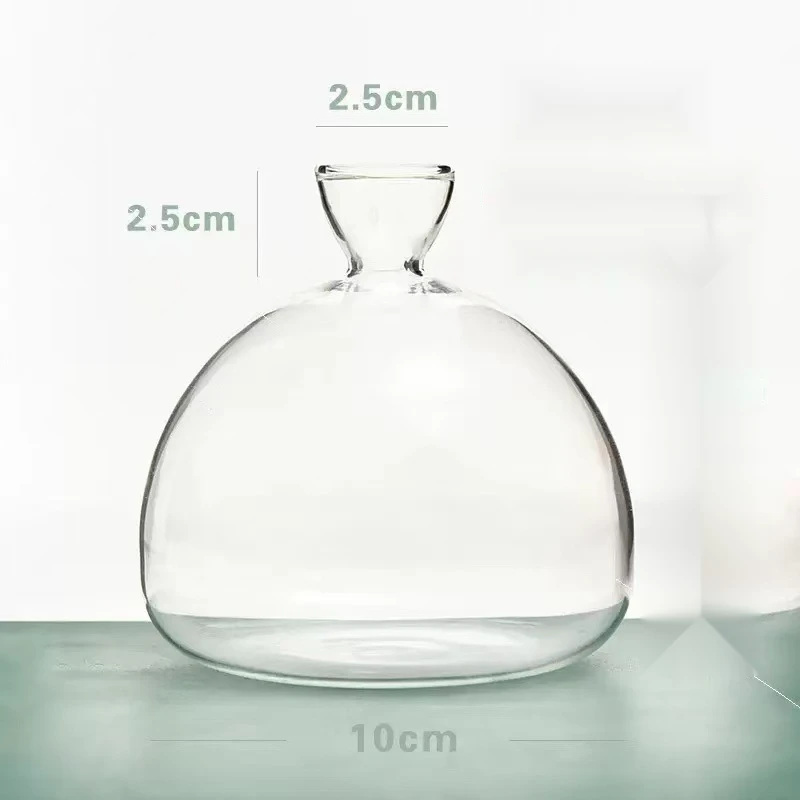 زجاجة زراعة شتلات الأفوكادو مزهرية زجاجية شفافة مج...