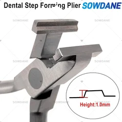 Orthodontic Wire Bending and Step Forming Plier for Dental Laboratory Use (1 pc 1.0 mm)