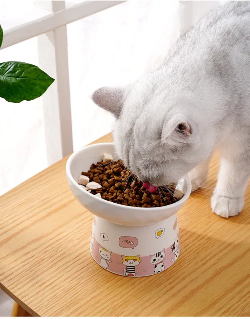 Cat Ceramic Bowl Pet Food Utensils High Footed Bowl 5